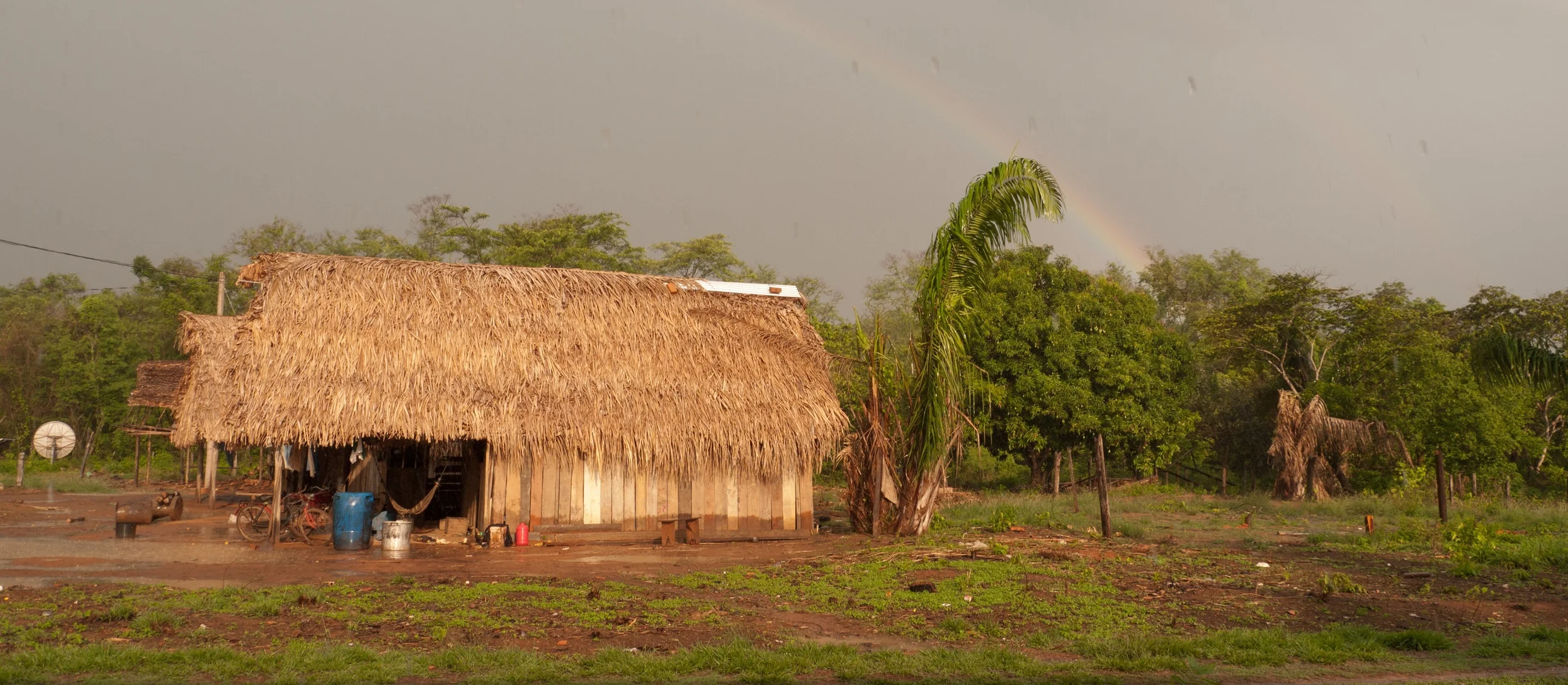 Bolivia Chacobo October 2010P1010244.jpg
