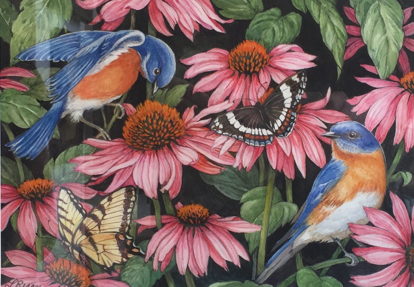 Birds and Flowers 2