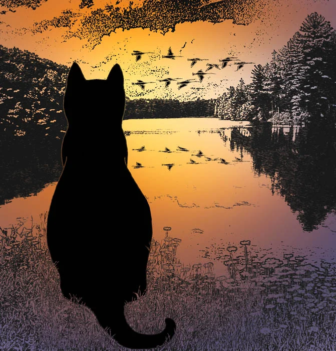 "Last Light"