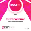 Enhancing Patient Data Management in Ireland: MEG and IPMS Integration ...