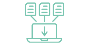 plan and collect the audits