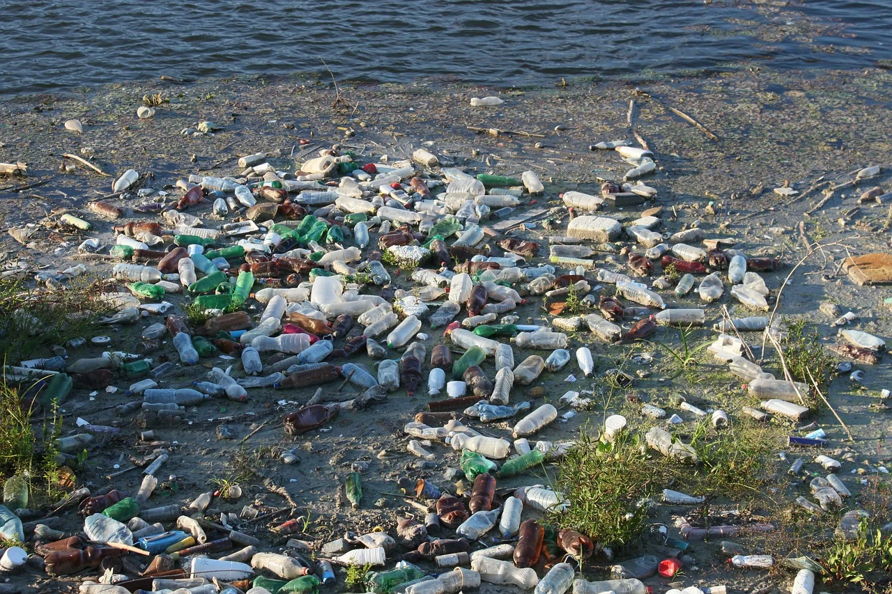 bottles-87342_1280.jpg