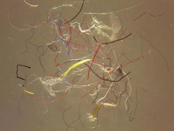 SB004S_Fibers.jpg