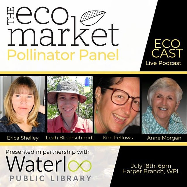 THIS THURSDAY! A live recording for #EcoCast podcast by The Eco Market featuring some of the Waterloo Region's pollinator experts. Do we need to be worrying about our local pollinators? What are some of the factors contributing to pollinator health d