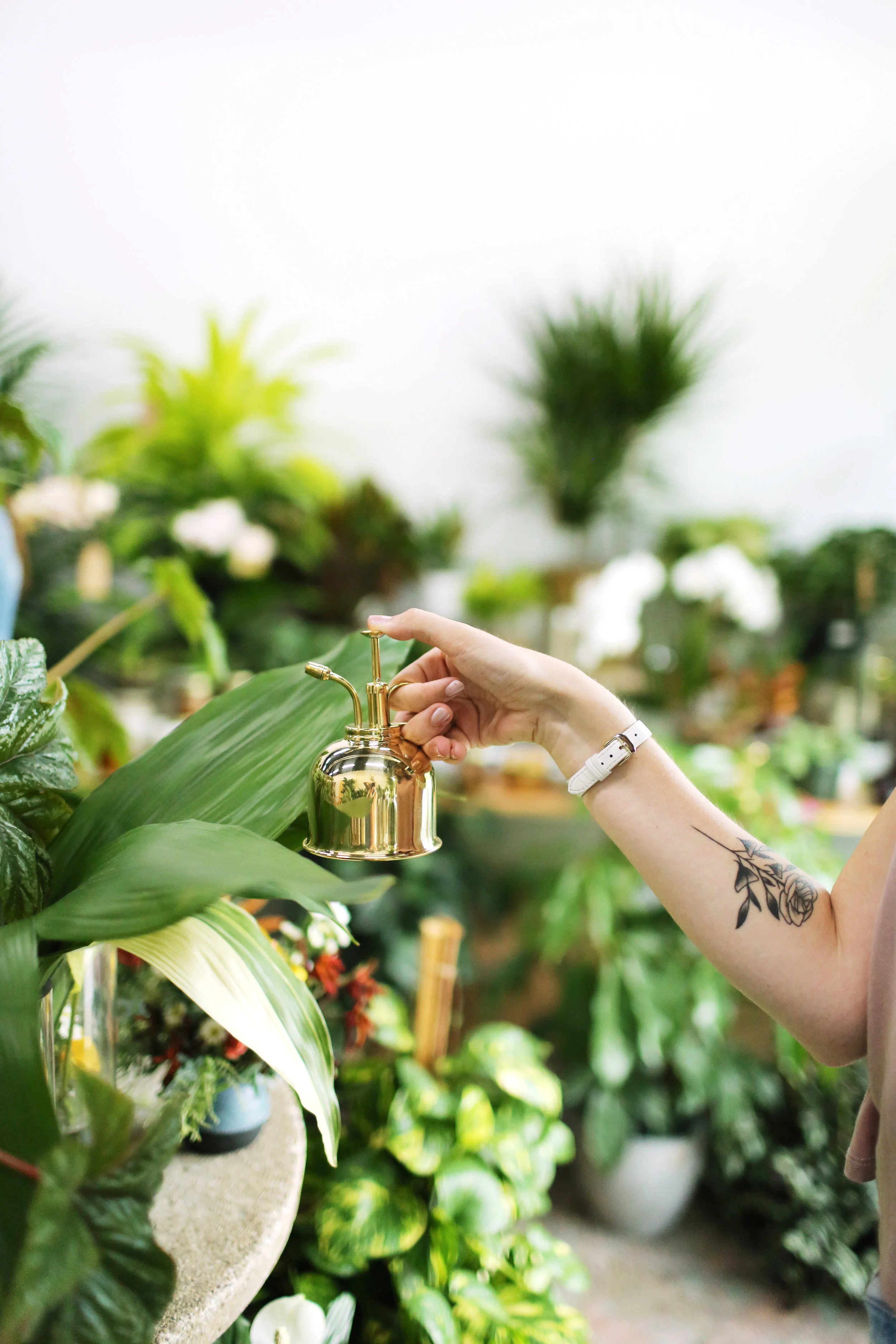 Creative Direction + Photography for Grounded Plant + Floral Co.
