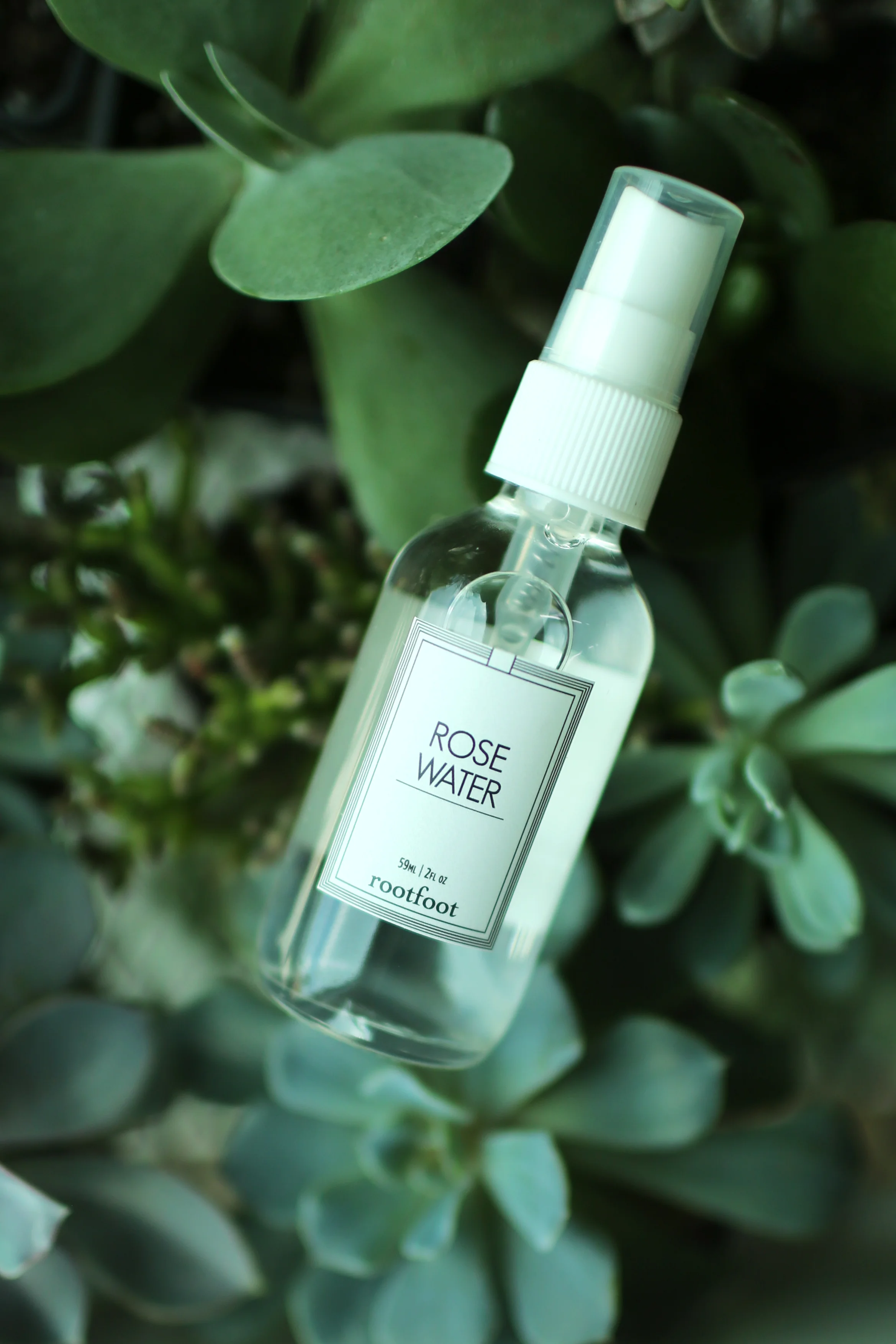 Creative Direction + Photography for Grounded Plant + Floral Co.