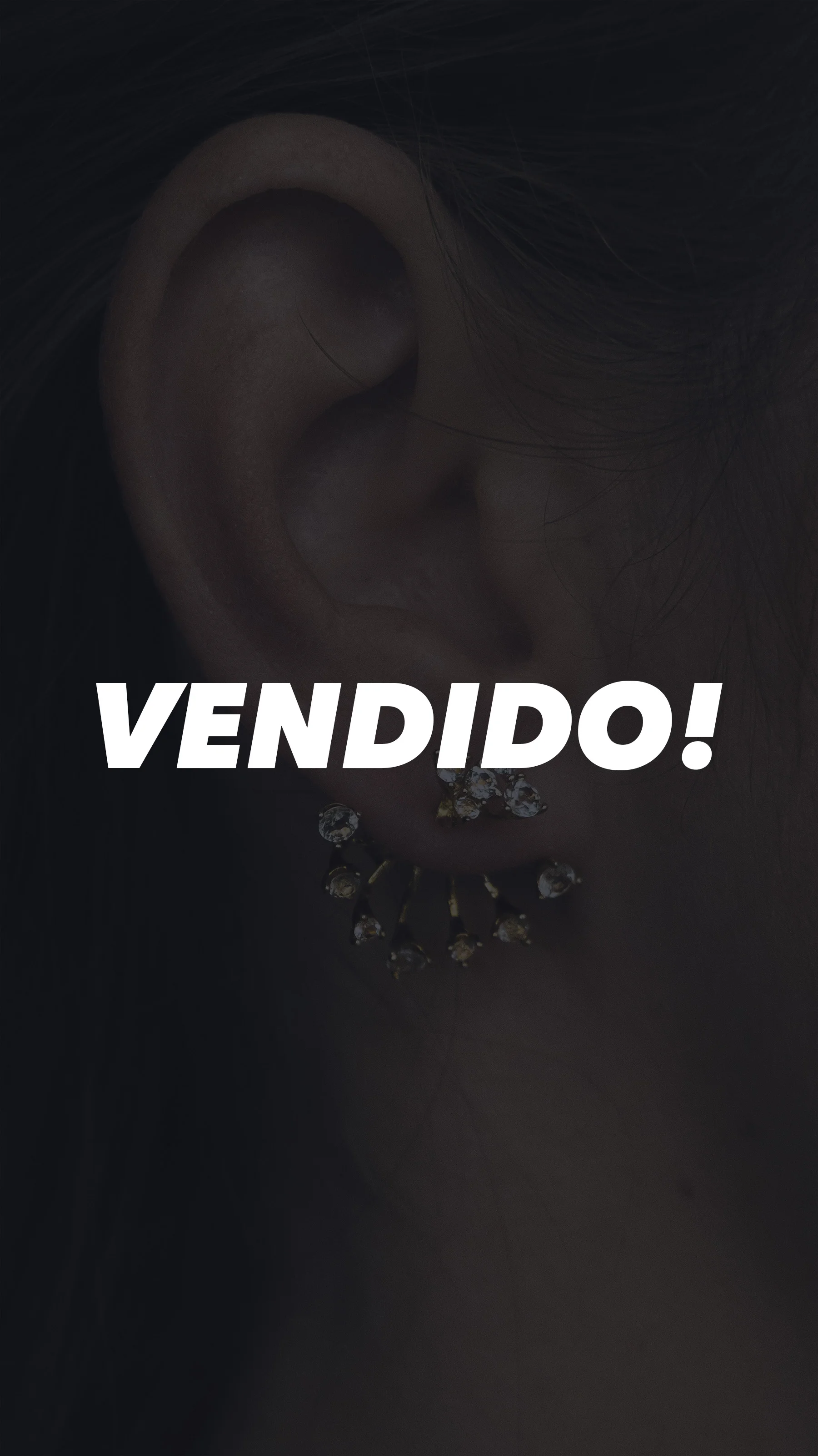 Vendido21.jpg