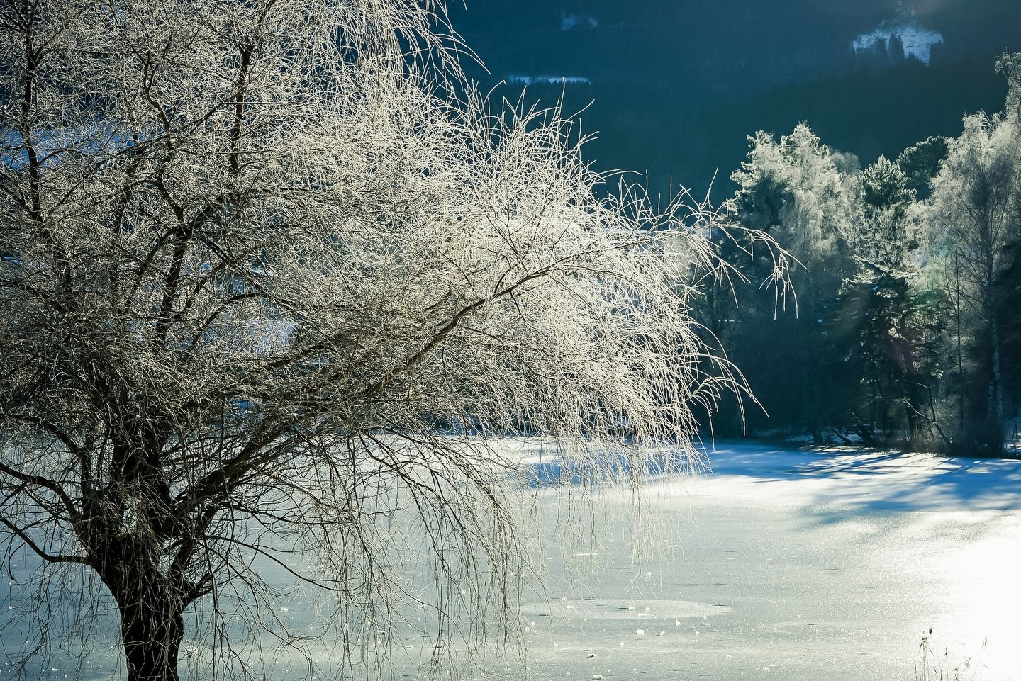 Bei diesen Bedingungen gelingt jedes Winterfoto am See&hellip;