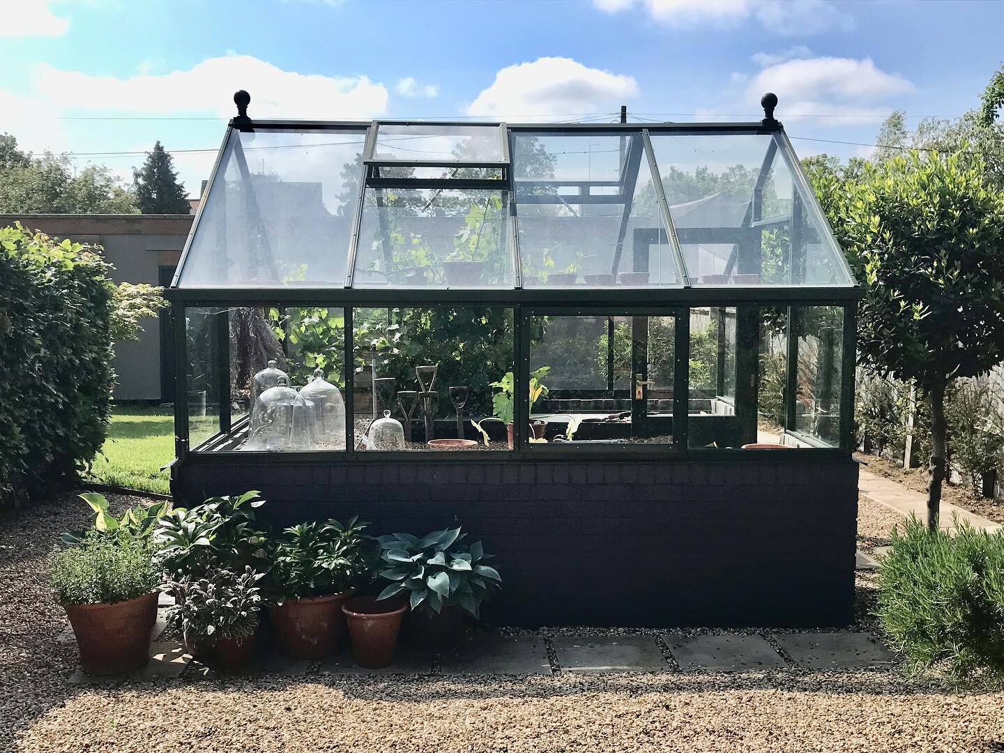 Summer view 🌱

#englishgarden #greenhouse
