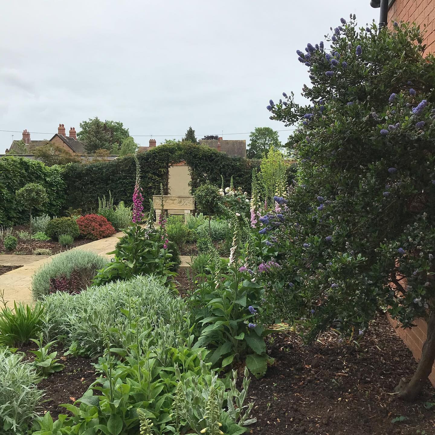 🪴 Beginning to tidy up the garden in our new home &hellip; today&rsquo;s progress ; archway cut in hedge ! 

#garden #mygarden #foxgloves #cottagegarden