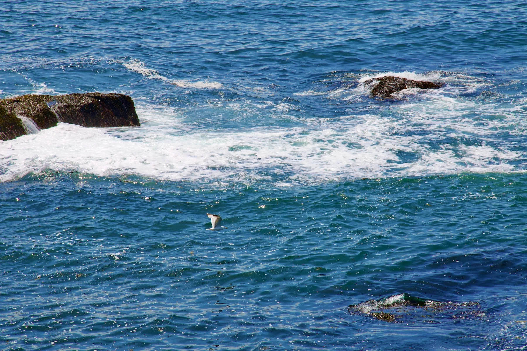 Blue Ocean