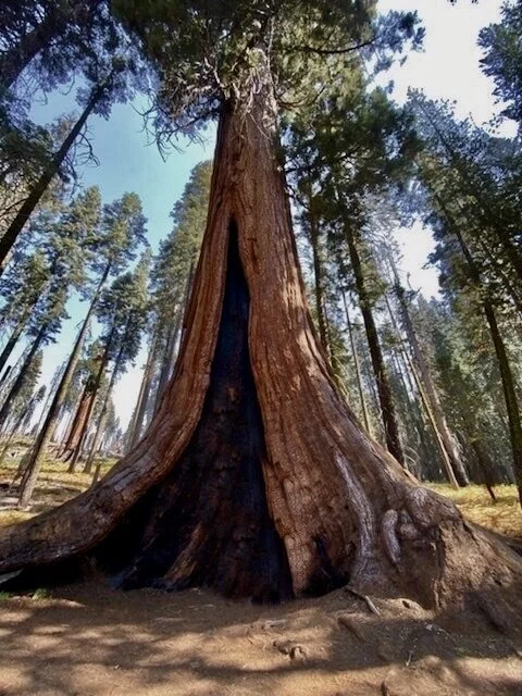 Nature Art Exhibition