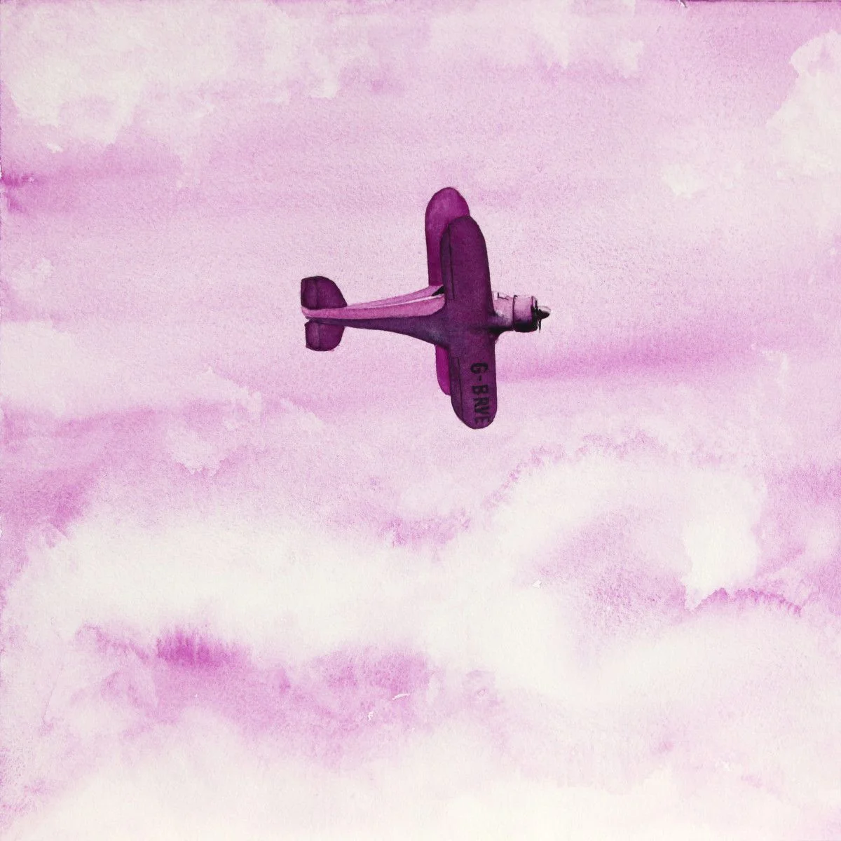 Gordon Phillipson. Beech Staggerwing Red Violet , 2013. Watercolor. 18 x 18 in. SOLD.