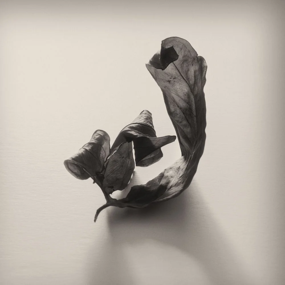 Digital Meditation 2