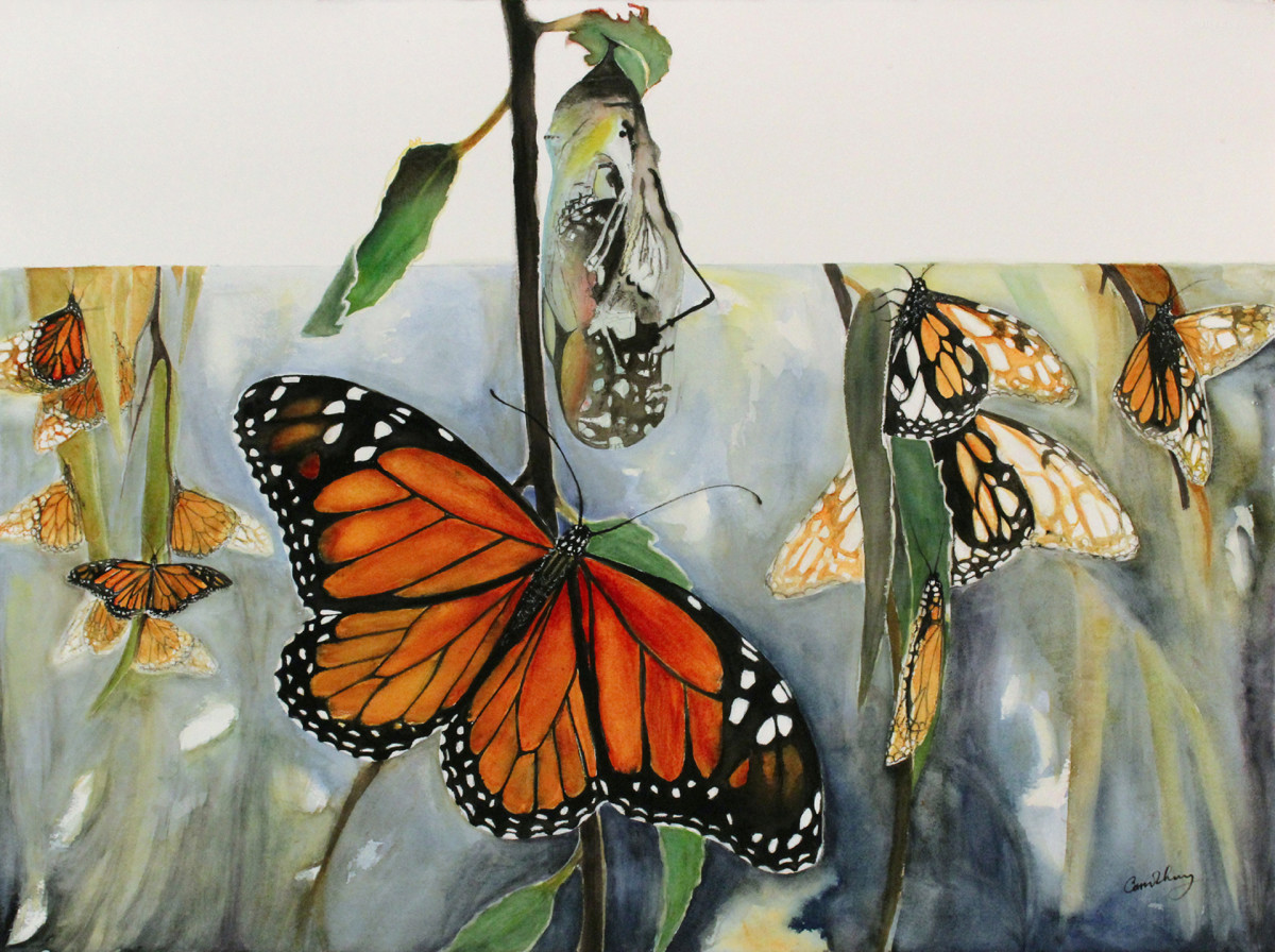 Monarch Metamorphosis
