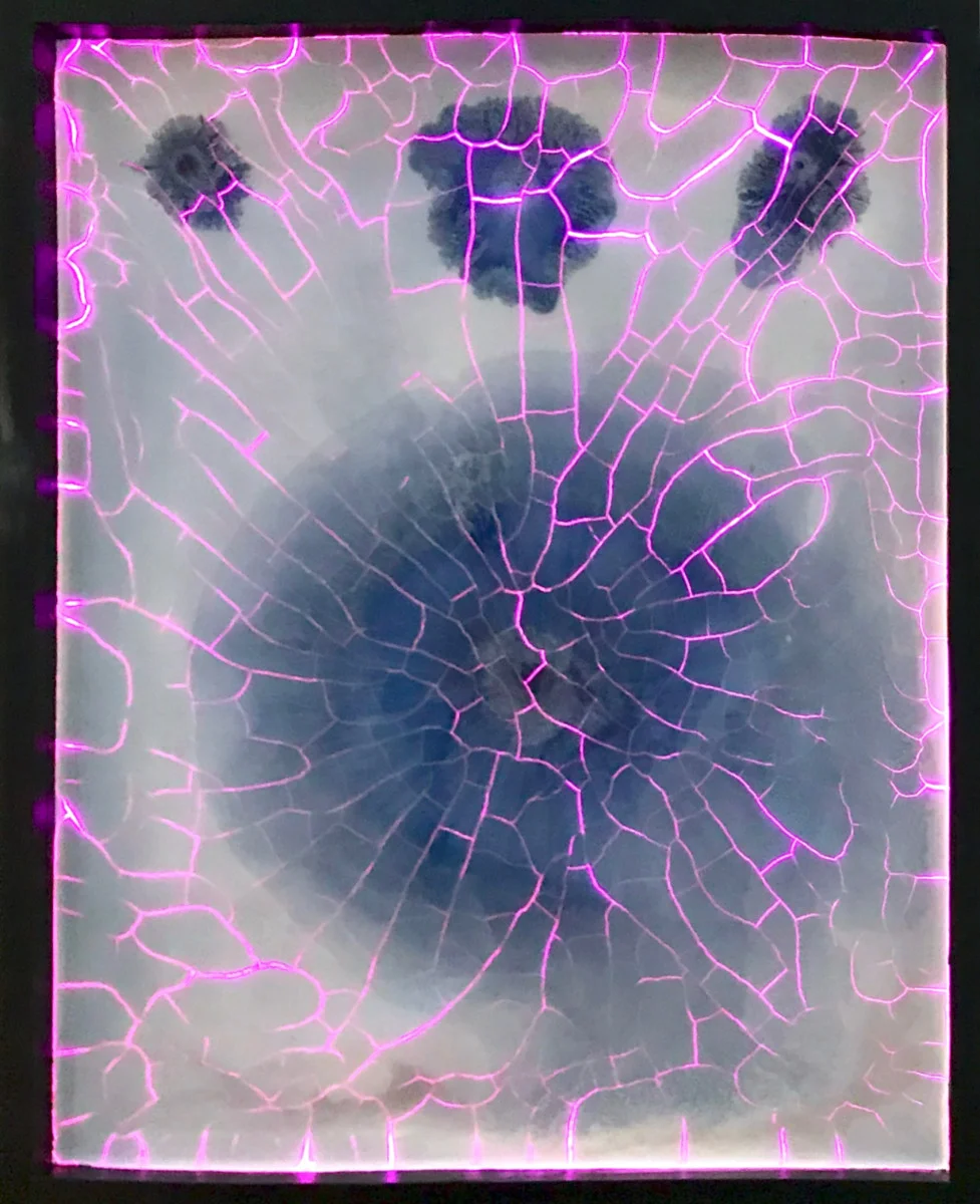 Mandelbrot Light Box I