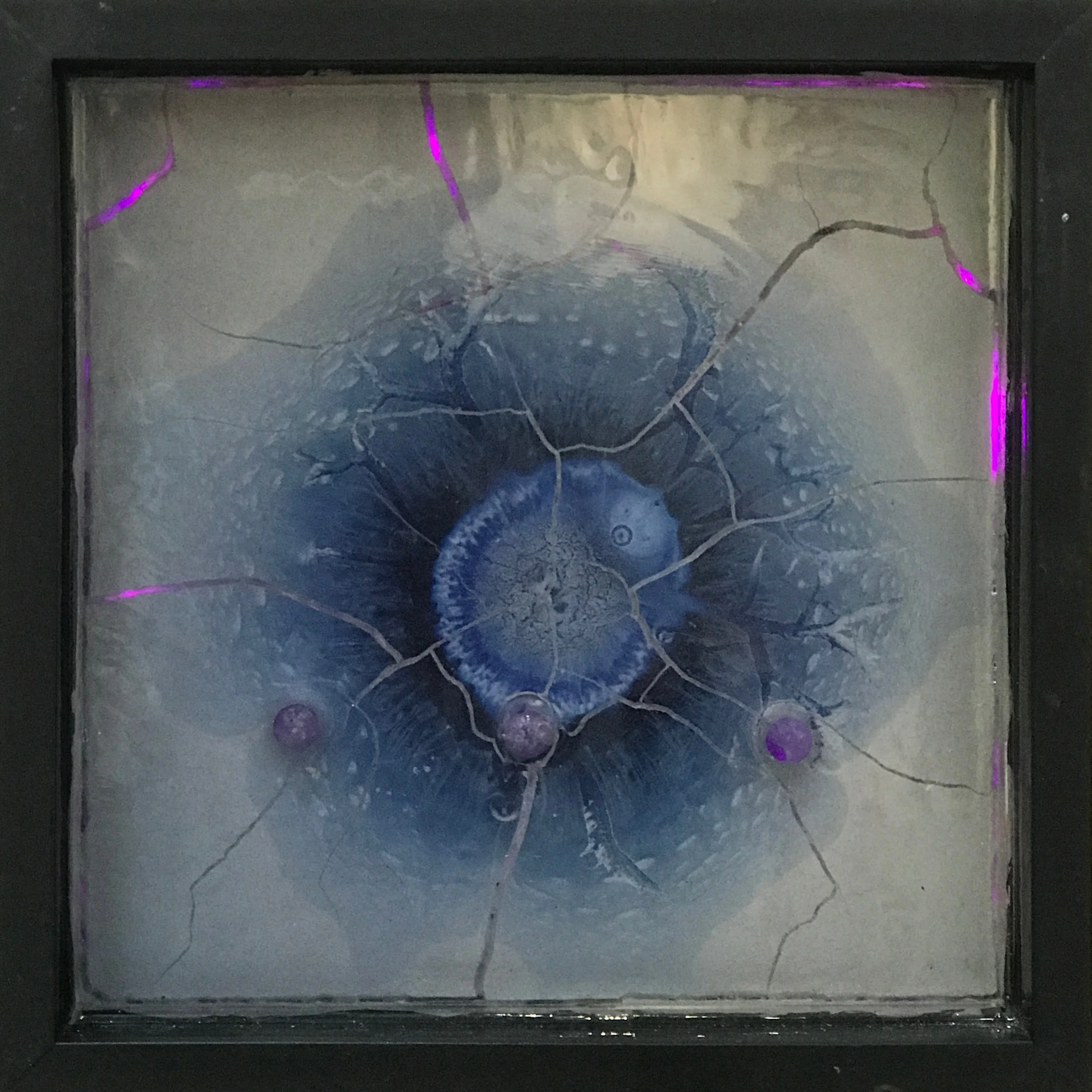 Mandelbrot Light Box VII