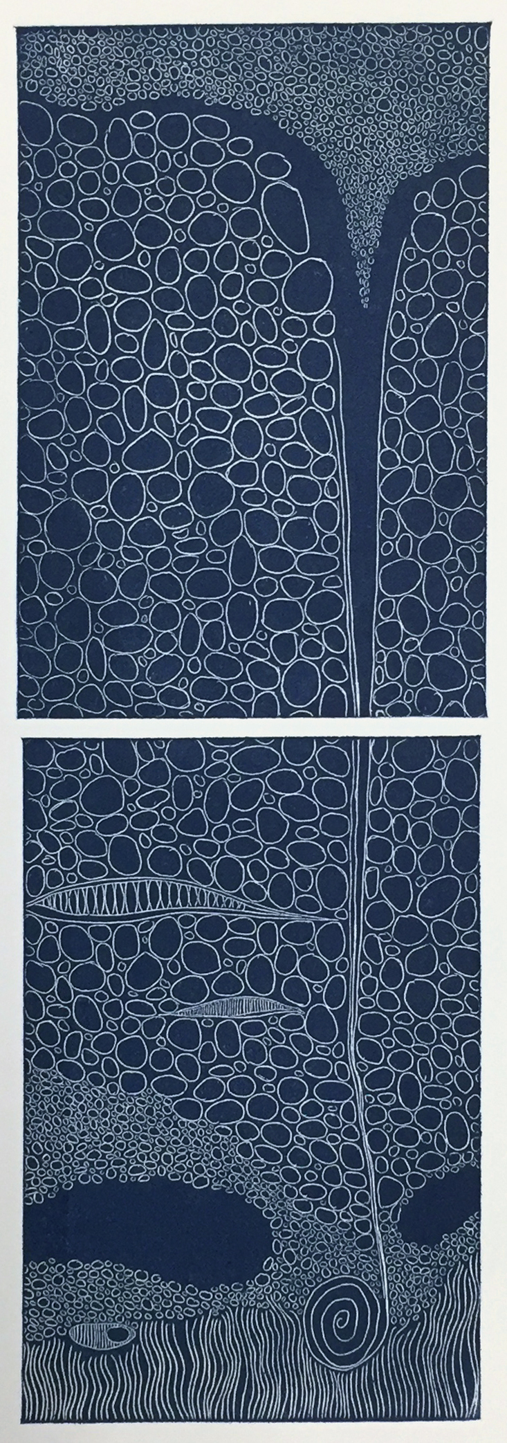  Shanti Conlan, Blue Abyss, Etching, Relief Printed, 12 x 4 in. 