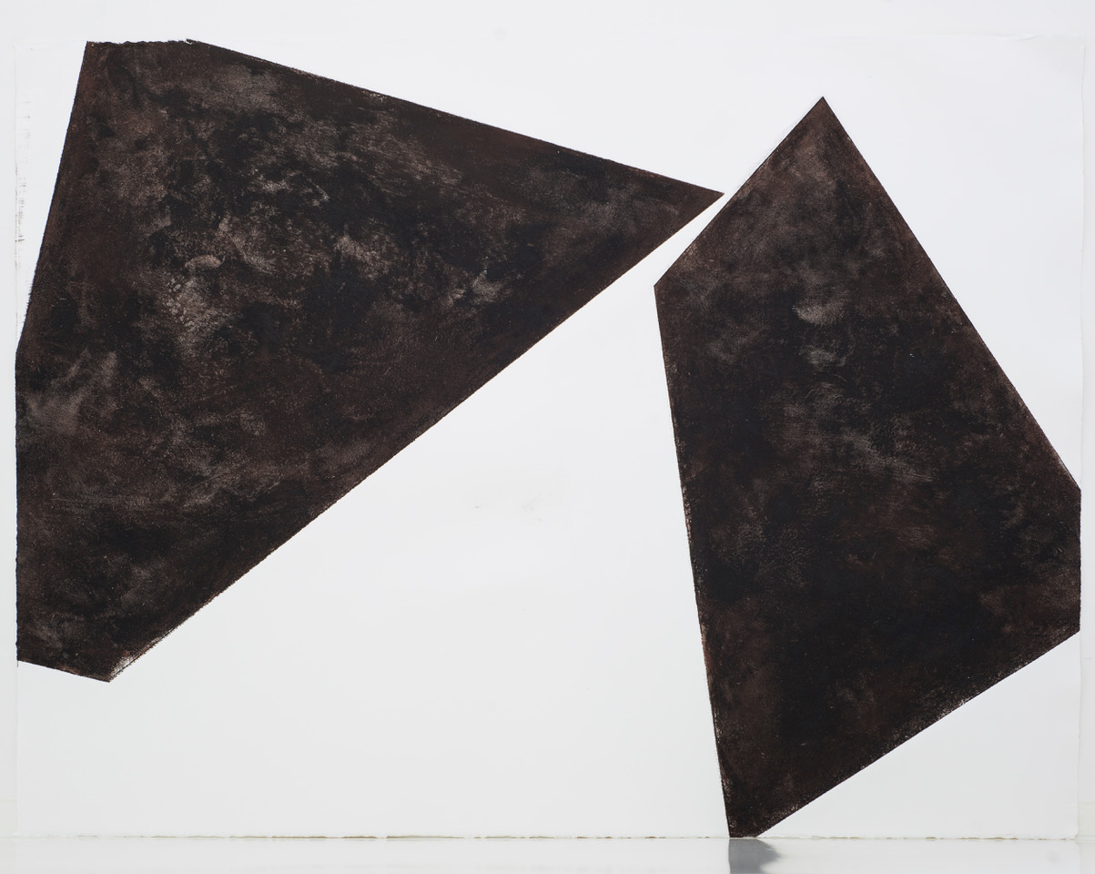Luisa Duarte, Poked, 2014. Monotype on paper, 22 x 30 x 0 in. Framed: 26.5 x 34.5 x 1.5 in.