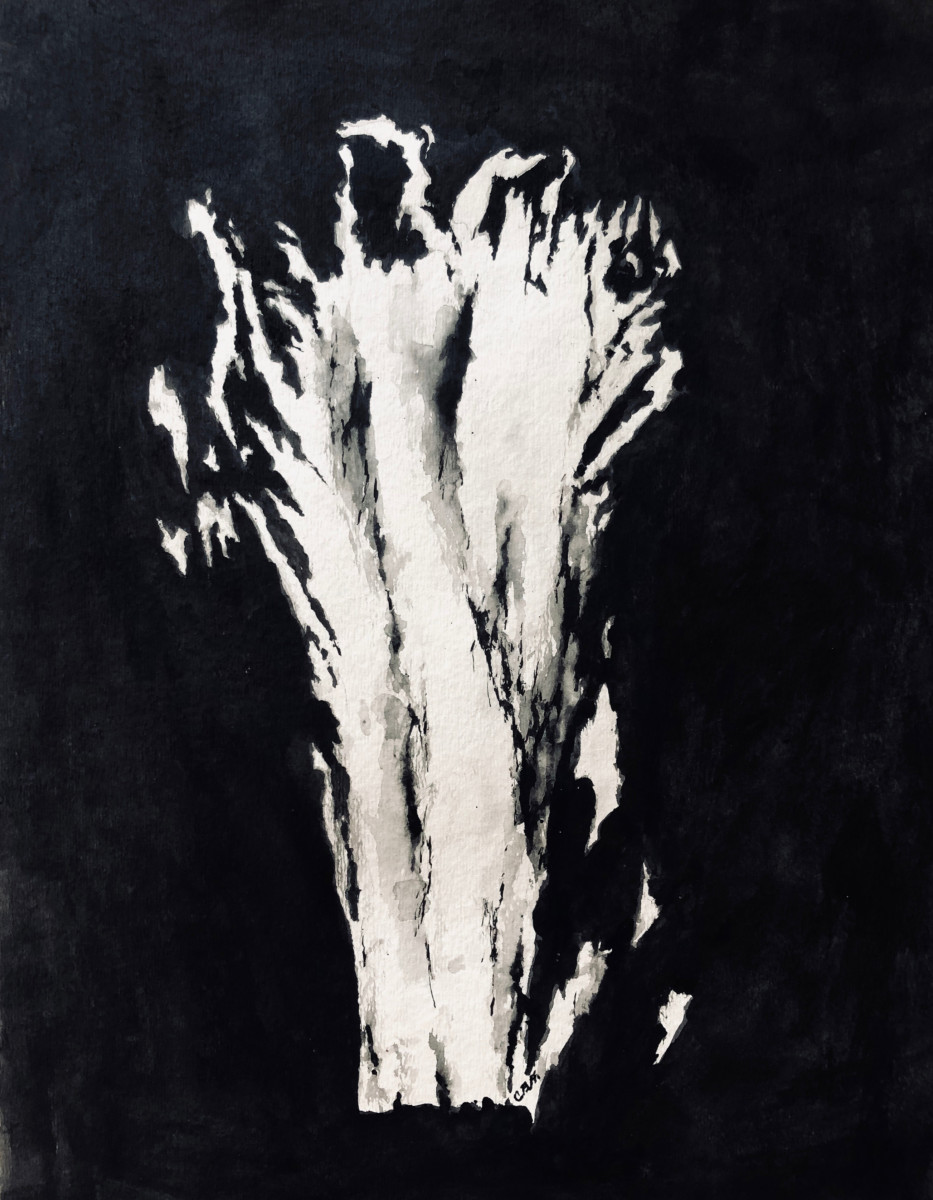 Carolyn Bertrand Hodges, Night Wiles, Ink on Paper, 13.5 x 10.5 IN.