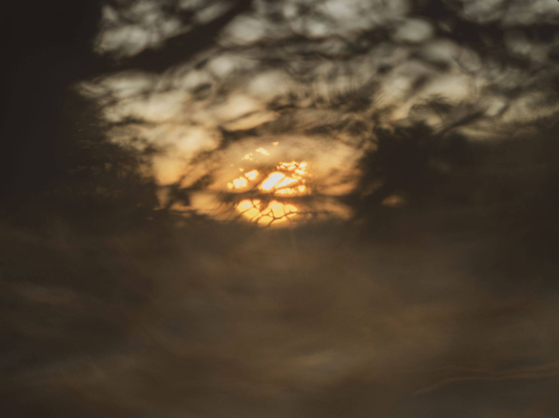 Captura de pantalla 2026-03-04 a la(s) 12.46.38 p.m..png