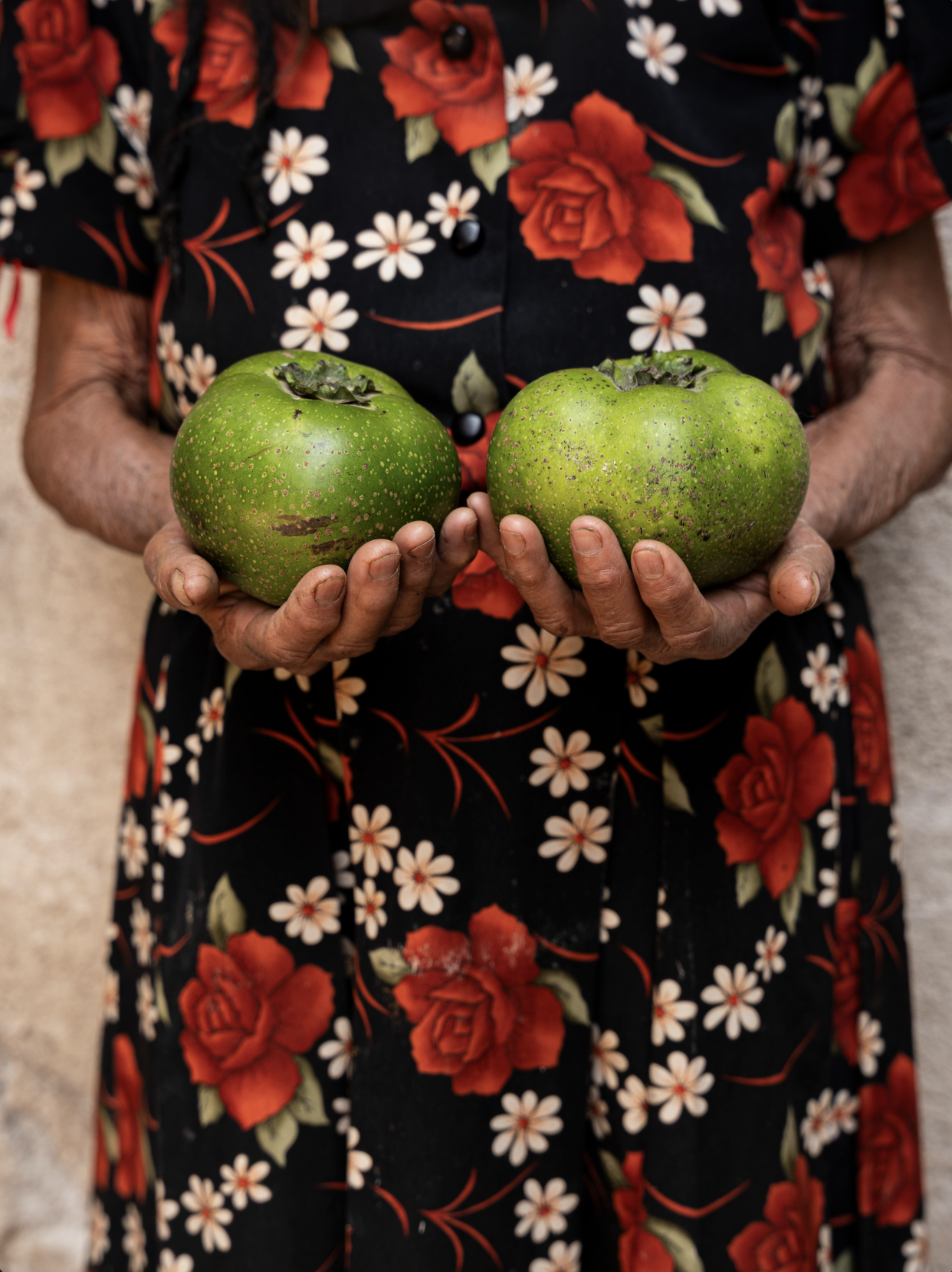 Captura de pantalla 2026-03-04 a la(s) 12.46.03 p.m..png