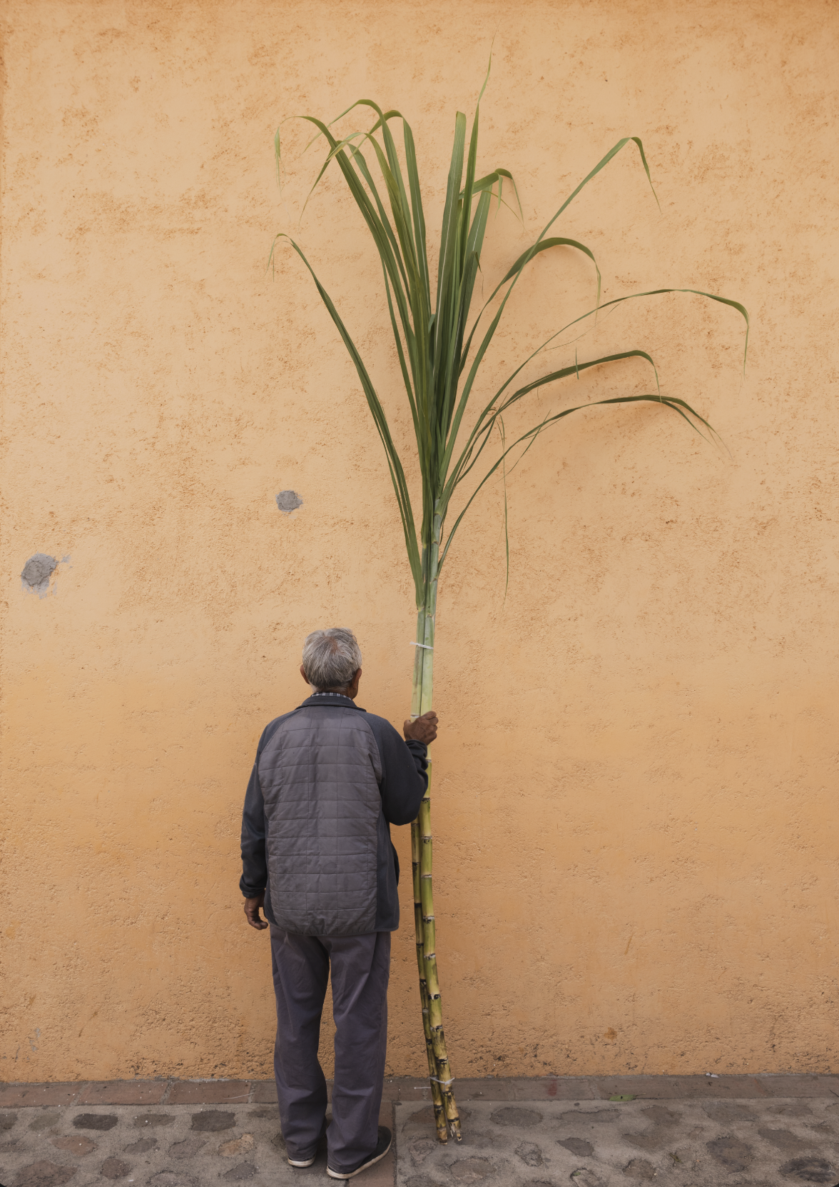 Captura de pantalla 2026-03-04 a la(s) 12.45.50 p.m..png