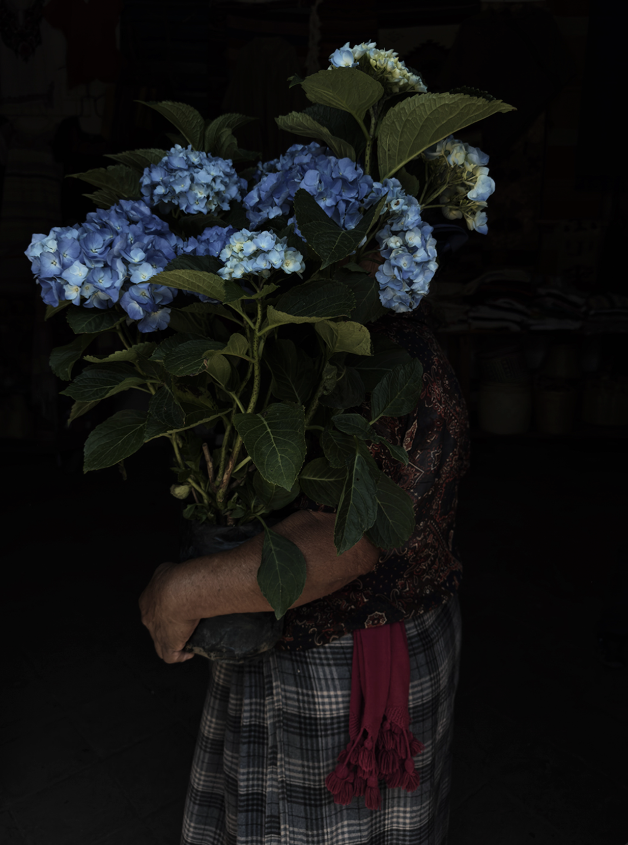 Captura de pantalla 2026-03-04 a la(s) 12.45.23 p.m..png