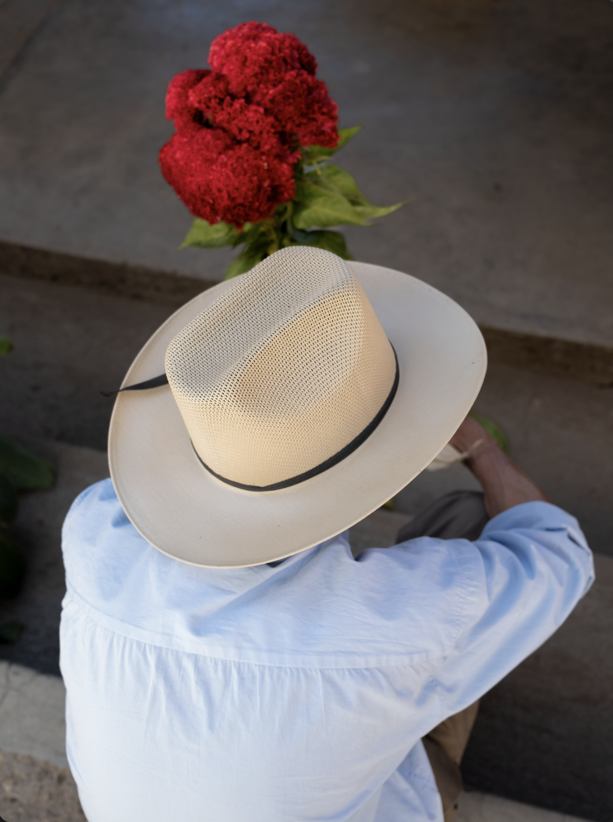 Captura de pantalla 2026-03-04 a la(s) 12.45.12 p.m..png