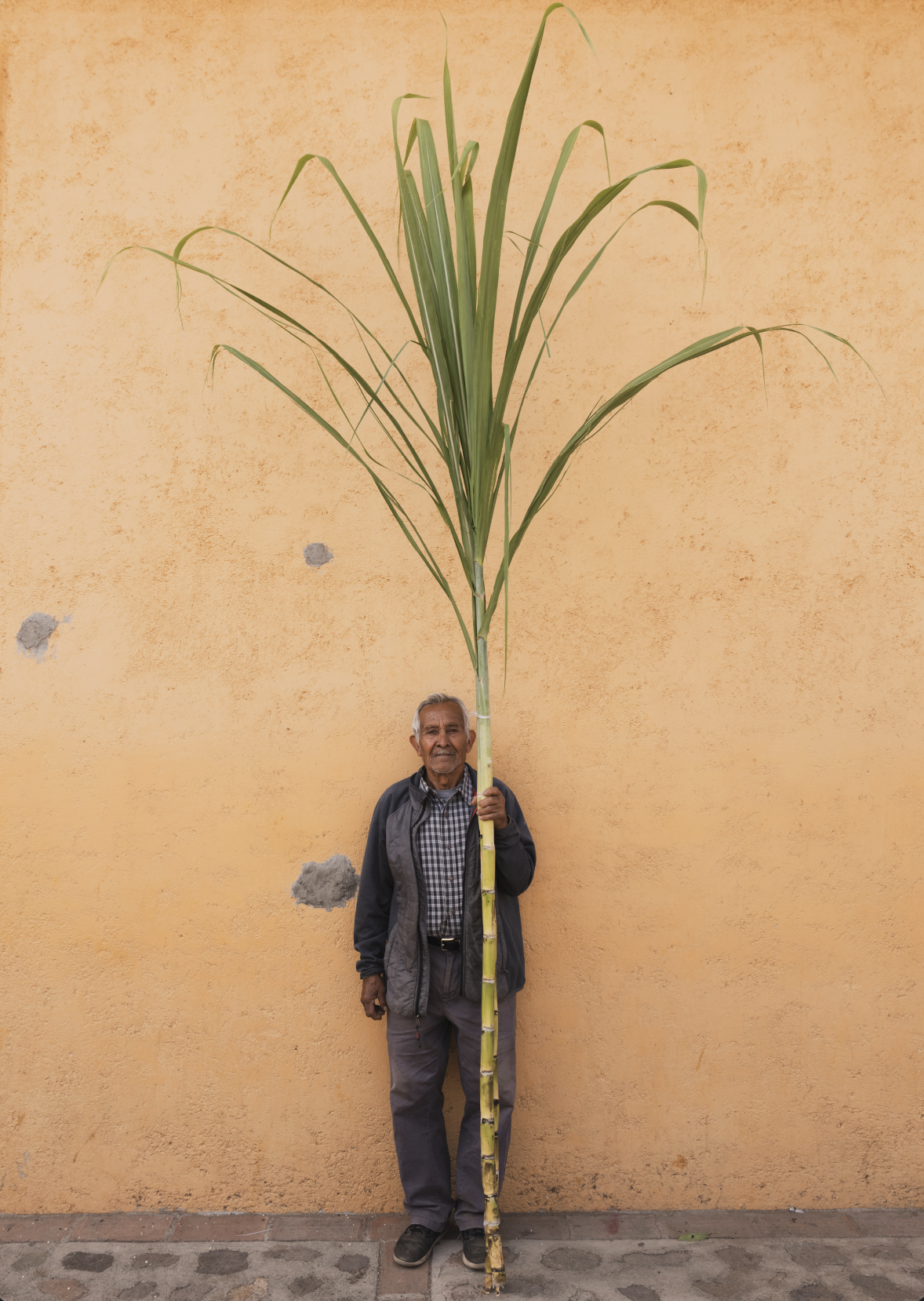 Captura de pantalla 2026-03-04 a la(s) 12.45.00 p.m..png