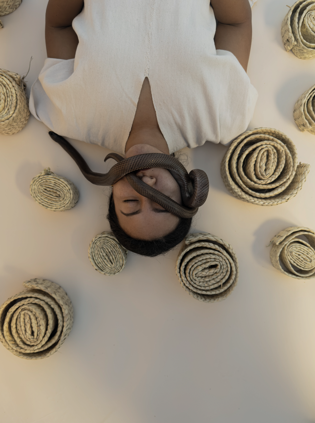 Captura de pantalla 2026-03-04 a la(s) 12.44.46 p.m..png