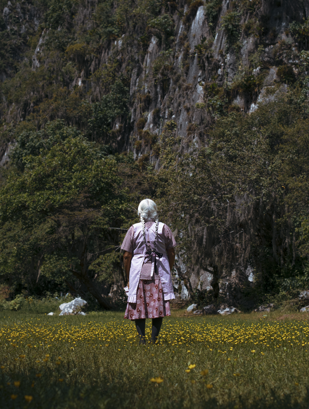 Captura de pantalla 2026-03-04 a la(s) 12.44.17 p.m..png