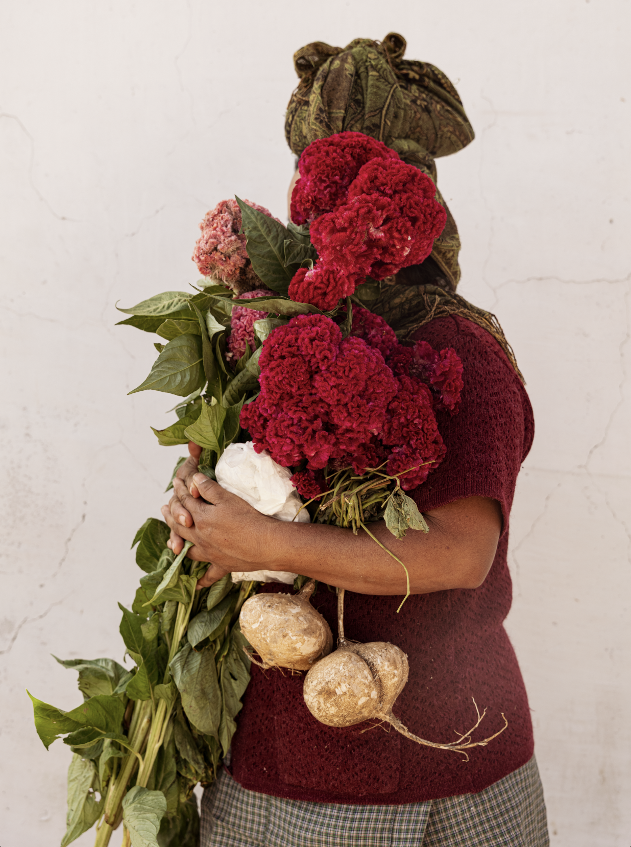 Captura de pantalla 2026-03-04 a la(s) 12.44.06 p.m..png