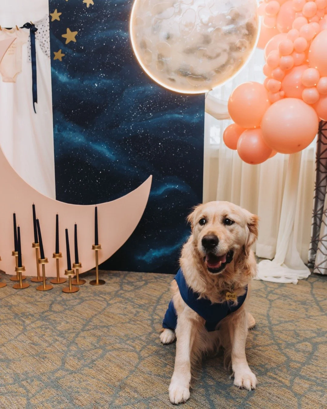 Some showers feel like a moment&hellip; this one felt like a universe of its own. ✨🌙

From glowing moons to a sky full of stars, every detail was designed to feel dreamy, warm, and just a little bit magical, like stepping into a story that&rsquo;s o