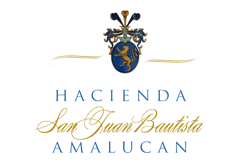 Hacienda San Juan Bautista Amalucan — wedding