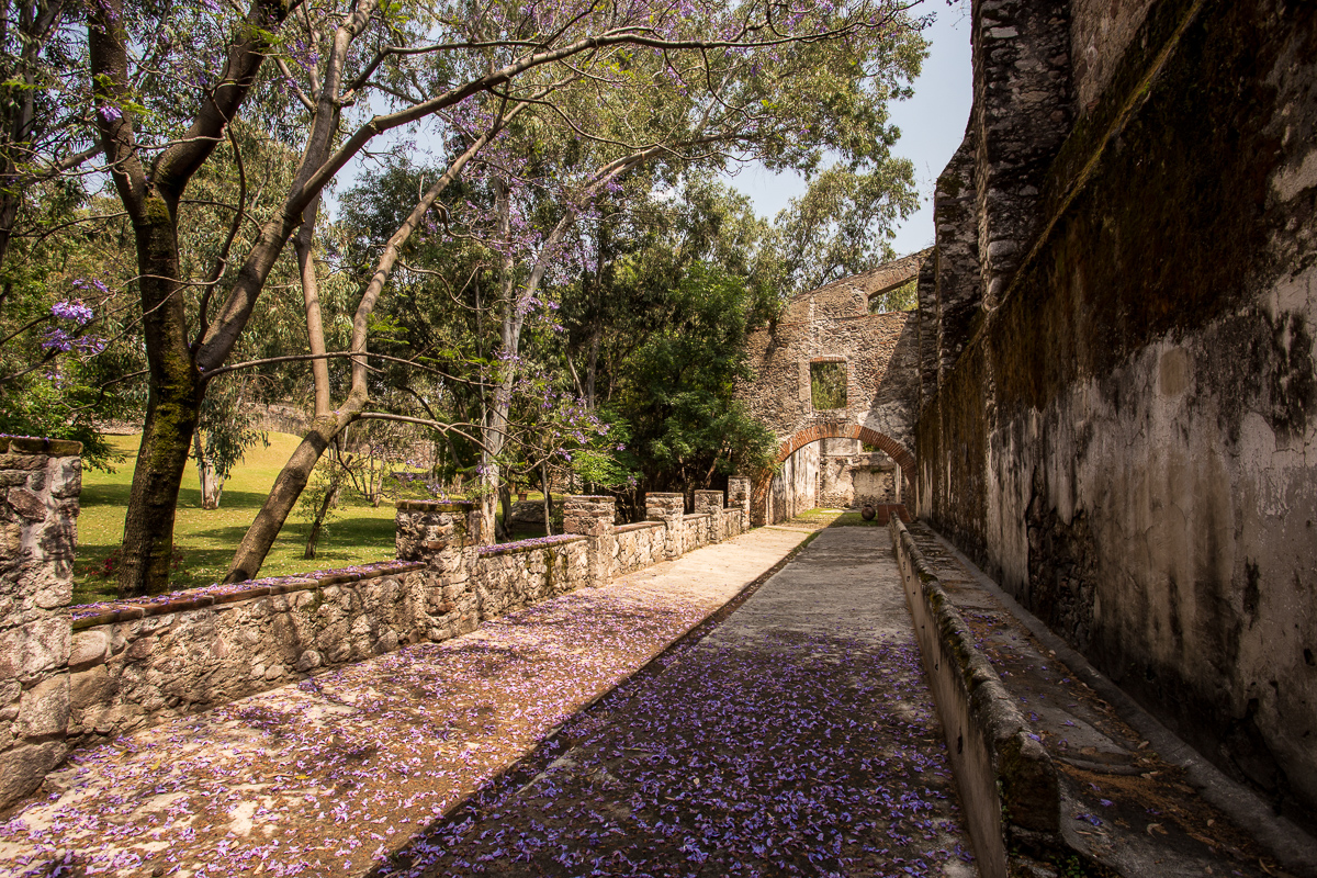 HaciendaAmalucan2_OCAJon-20_web.jpg
