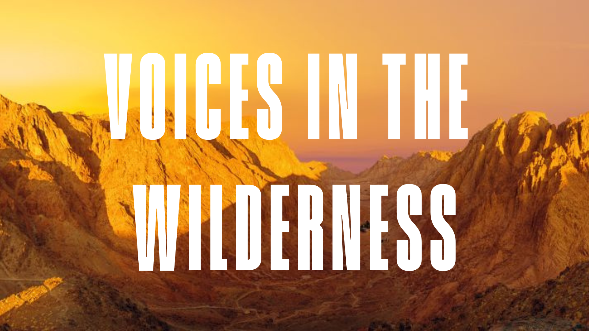 Voices in the Wilderness.png