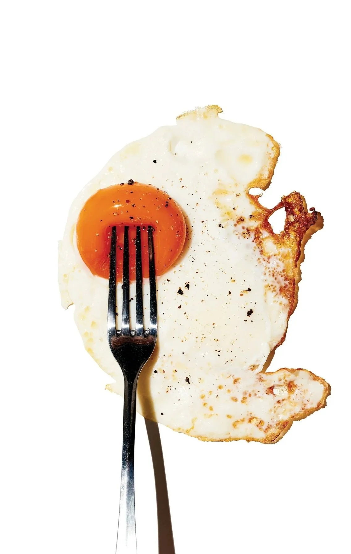 FRIED_EGG_Jan-27-2026_178_transparent_RGB.jpg