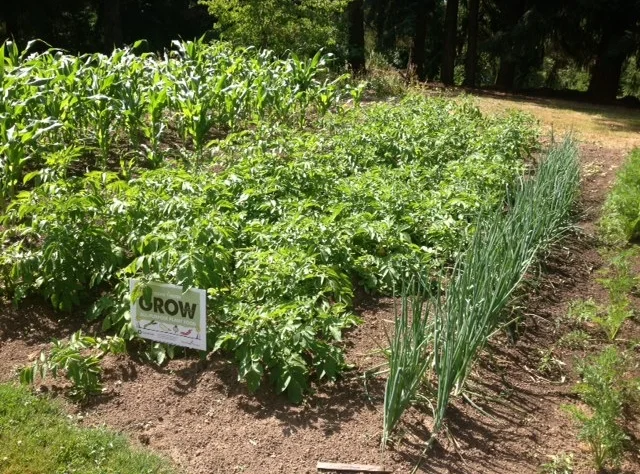 br-grow-garden.jpg