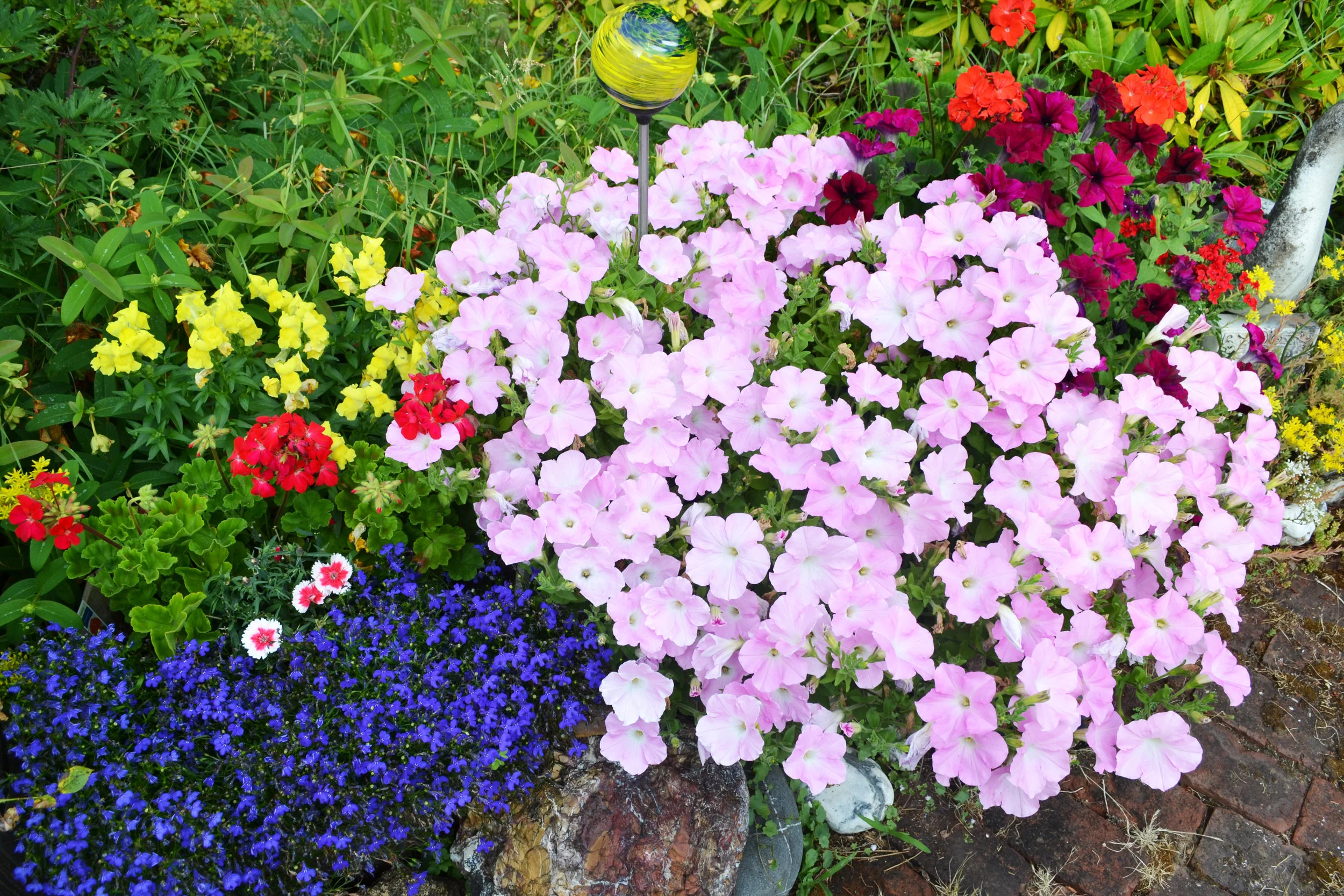 CWG_Deb_Plants.jpg