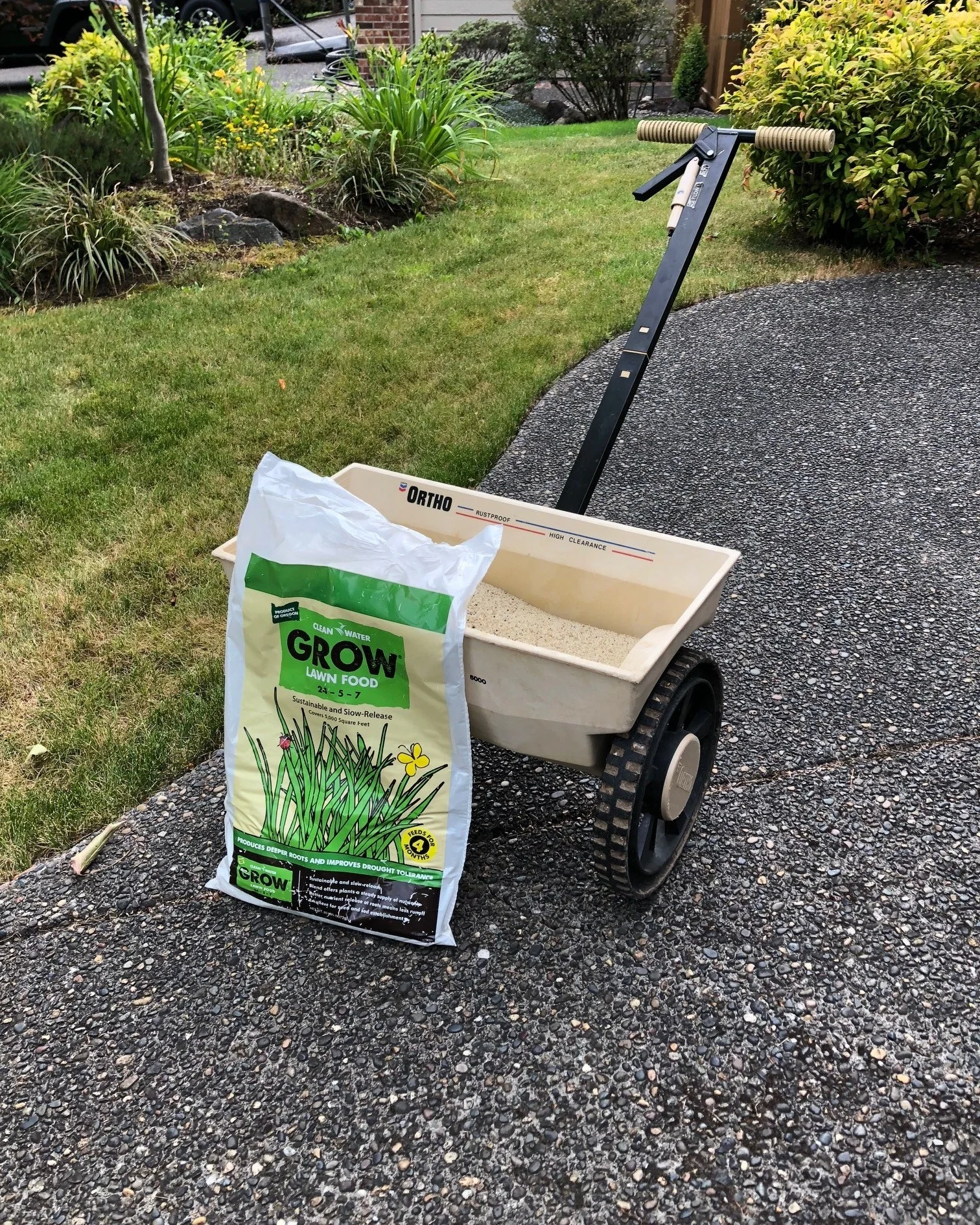 Mark's Lawn.jpg