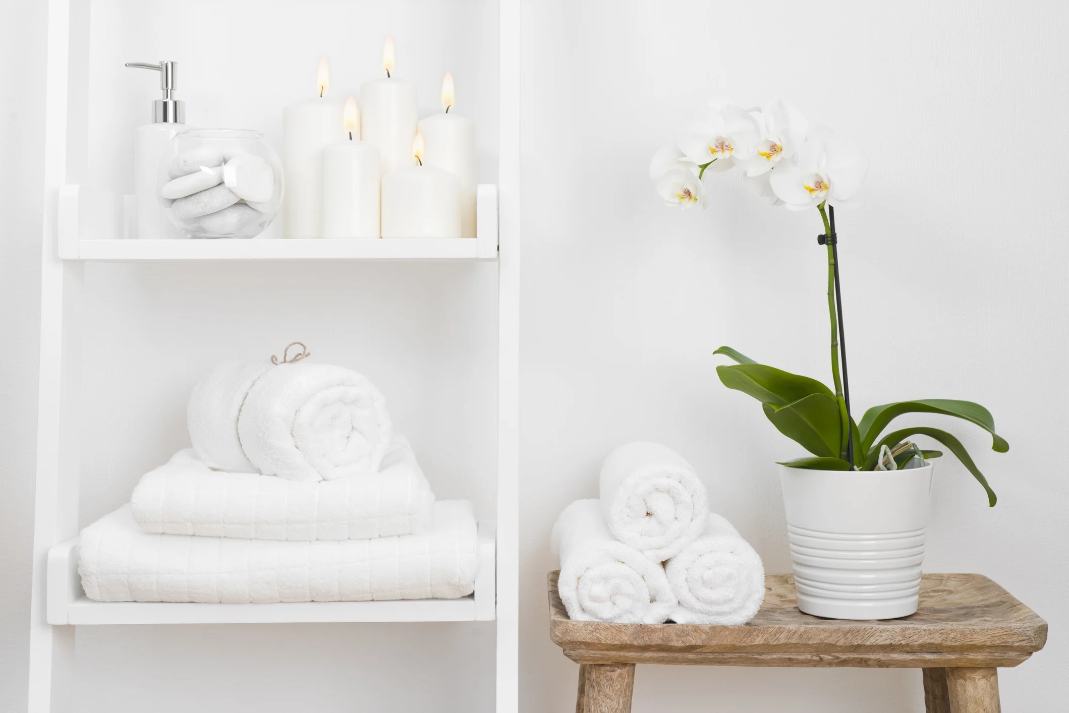 Bathroom - Orchid .jpg