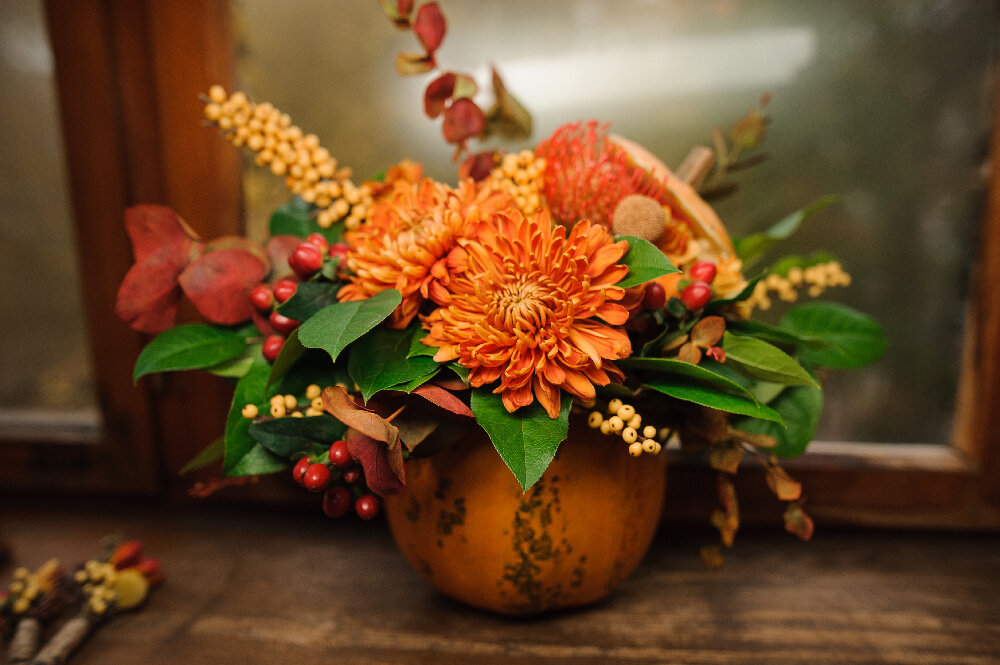 Images Of Beautiful Fall Flowers