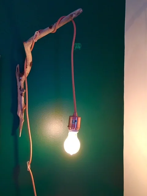 The lamps are Kelsey's creation! From Beechwood branches found at Illinois Beach State Park, Cords