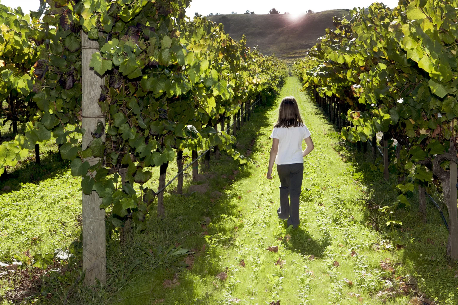 girl walking in vineyard.jpg