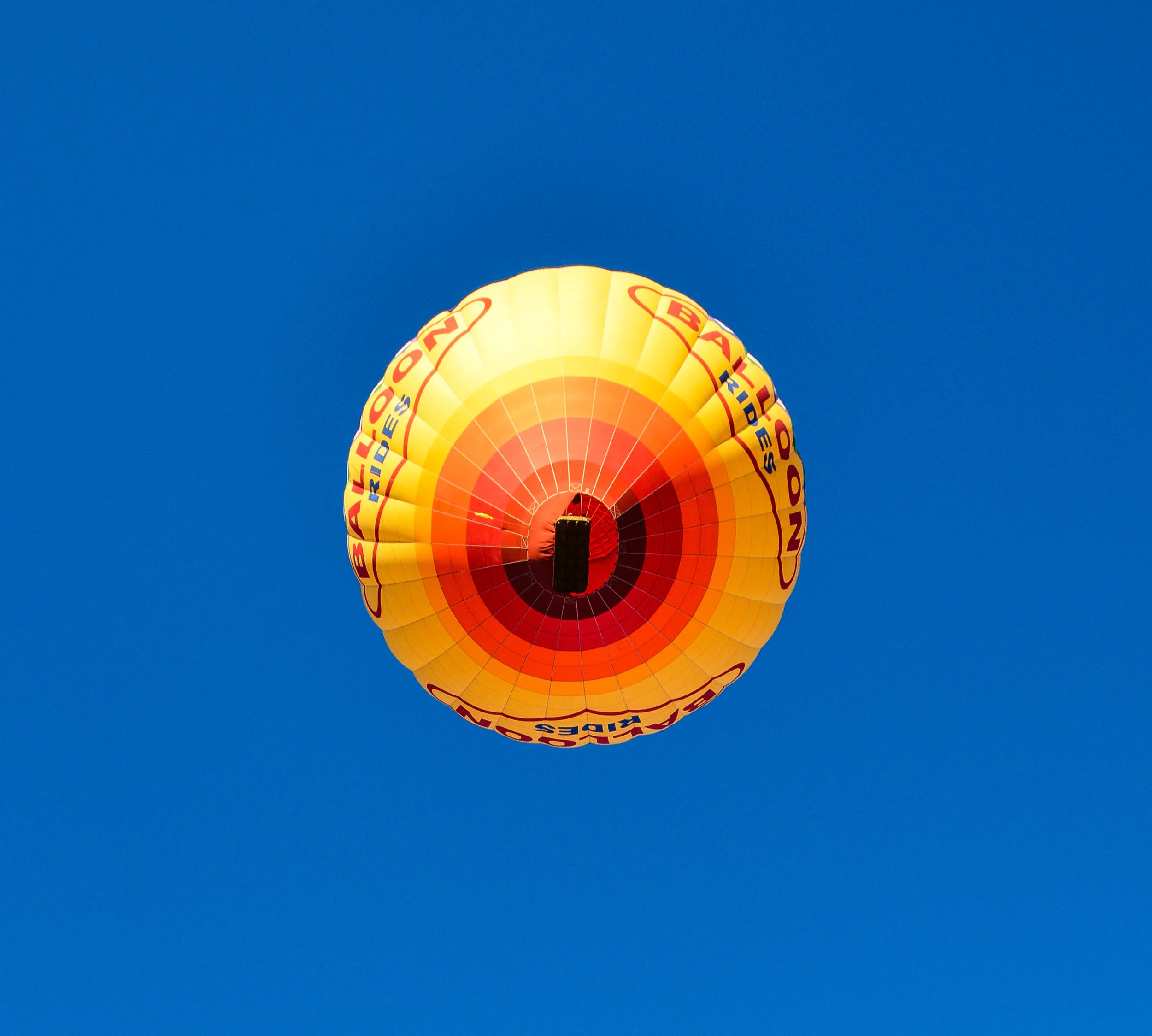 single balloon (1 of 1).jpg