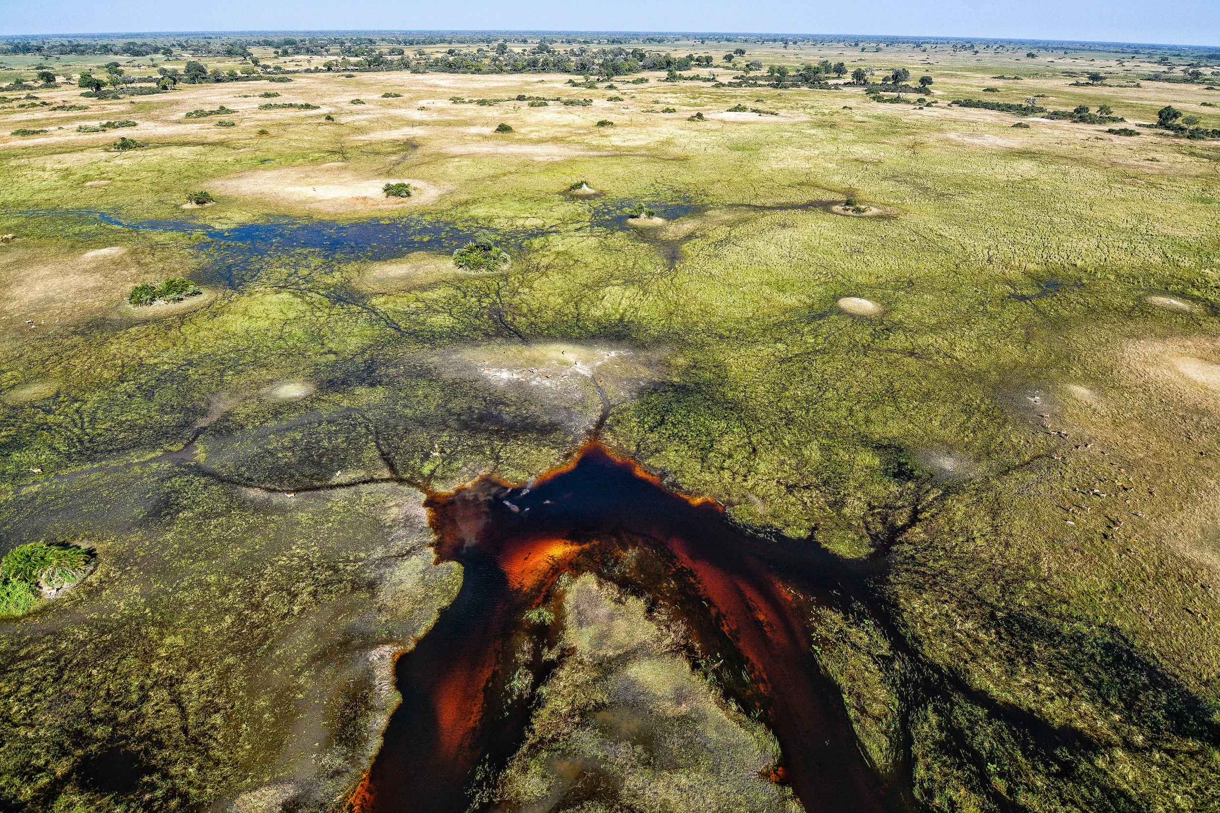 _JSW4317_edited jordan copy.jpg