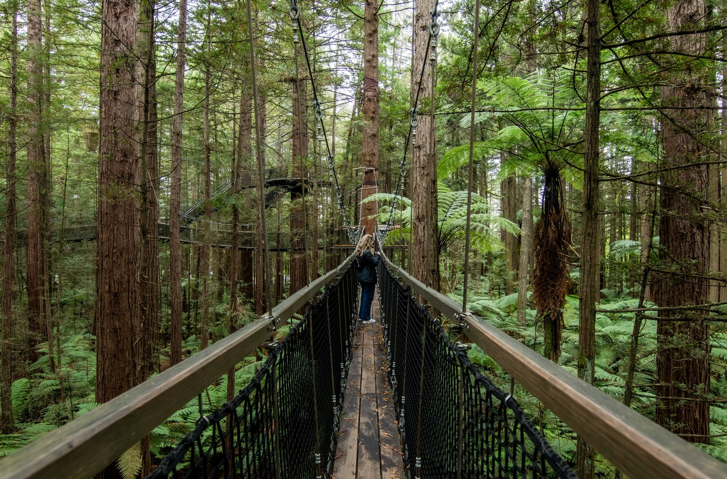 JSW_0618_edited jordan2.jpg