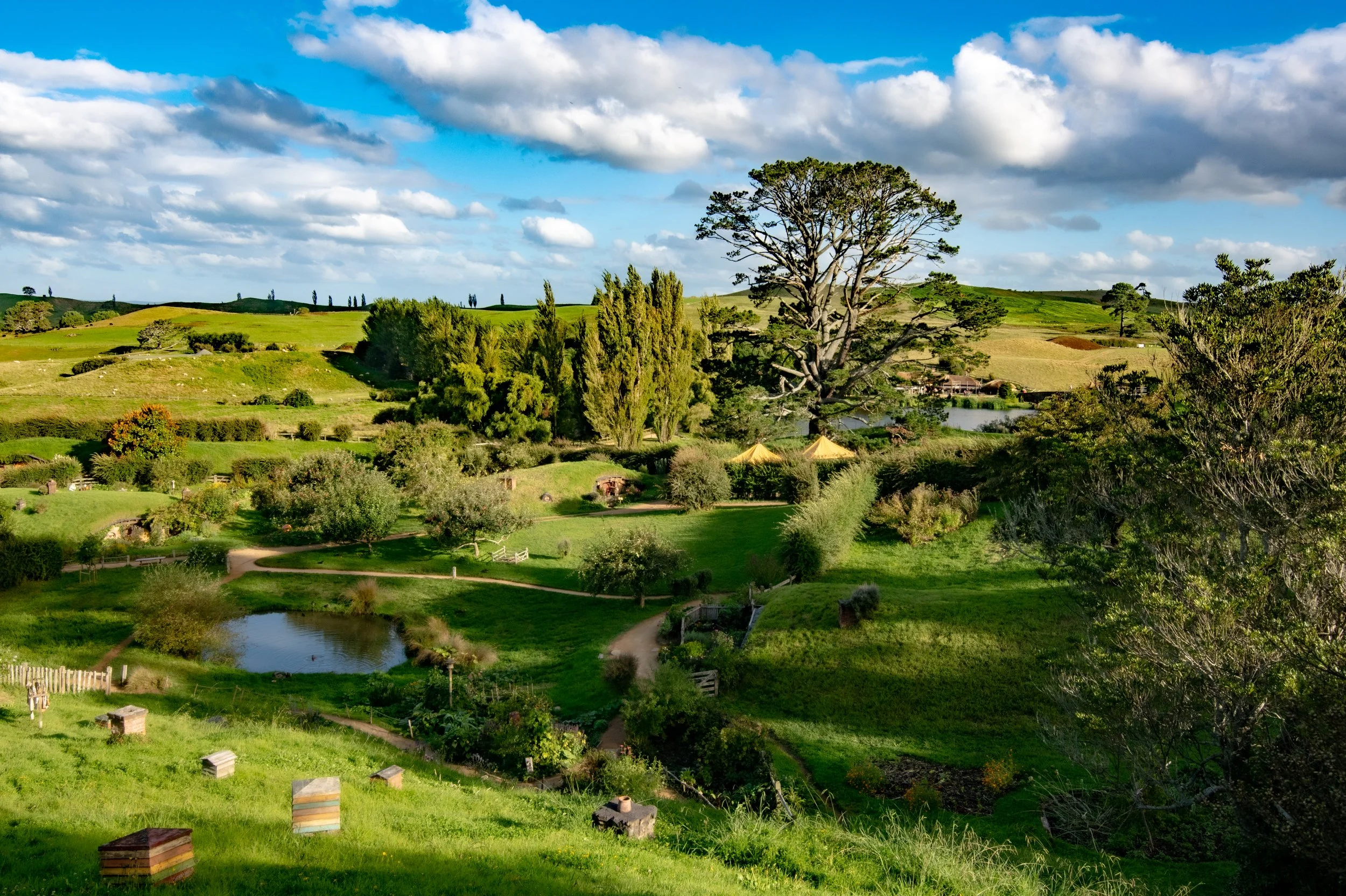 JSW_0658_edited jordan2.jpg