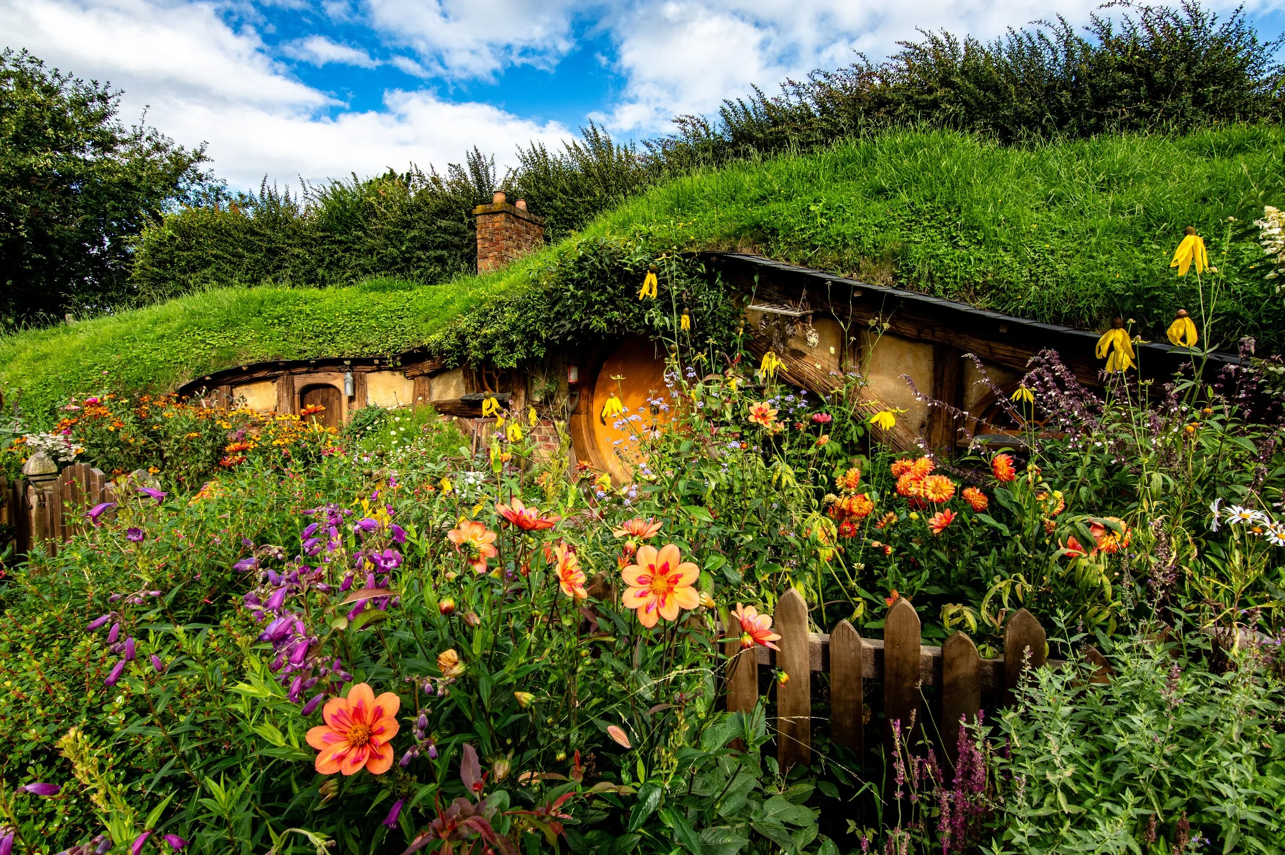 JSW_0632_edited jordan4.jpg